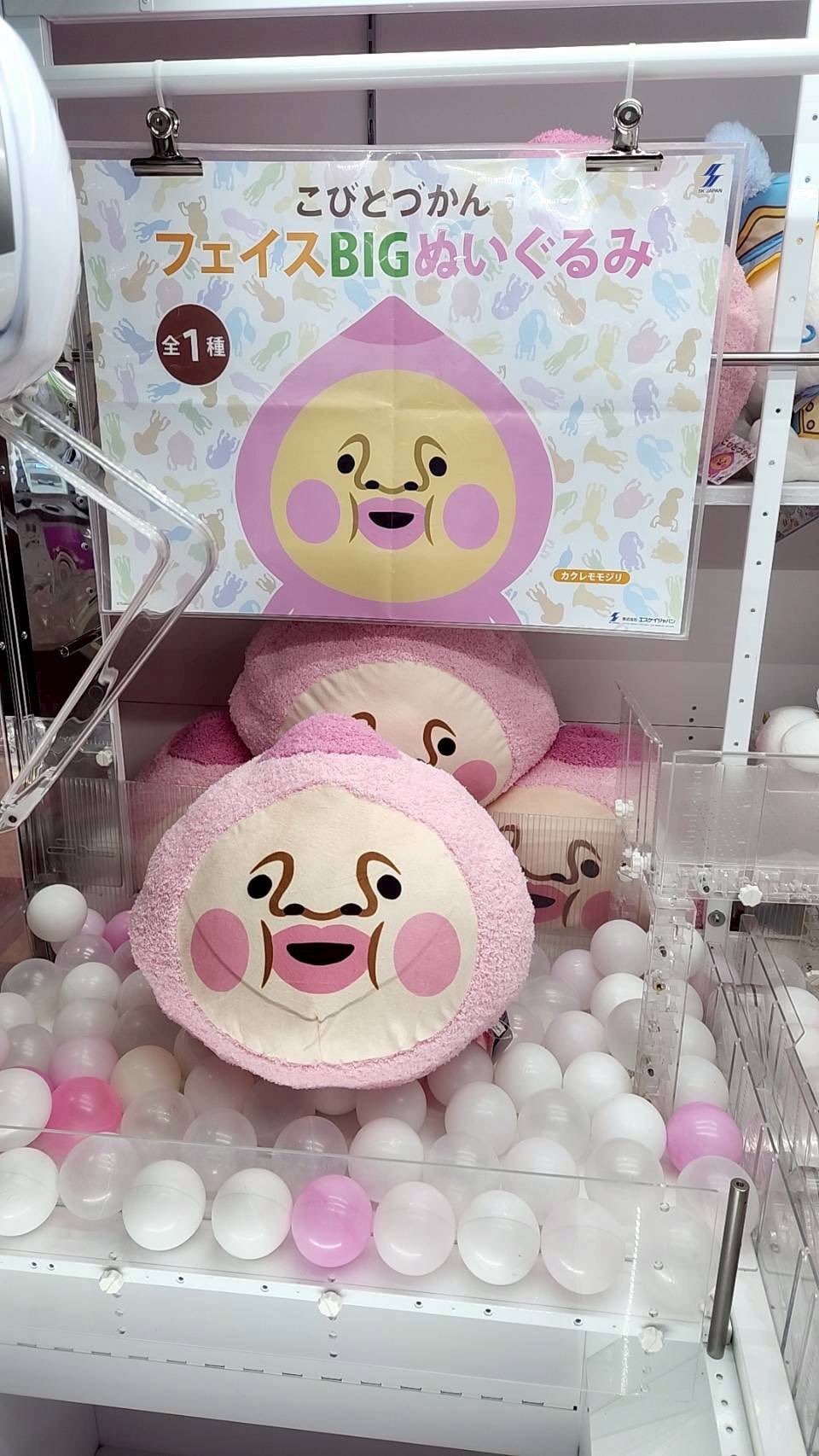 プライズ情報】こびとづかんBIGぬいぐるみ | ニュース | 楽市