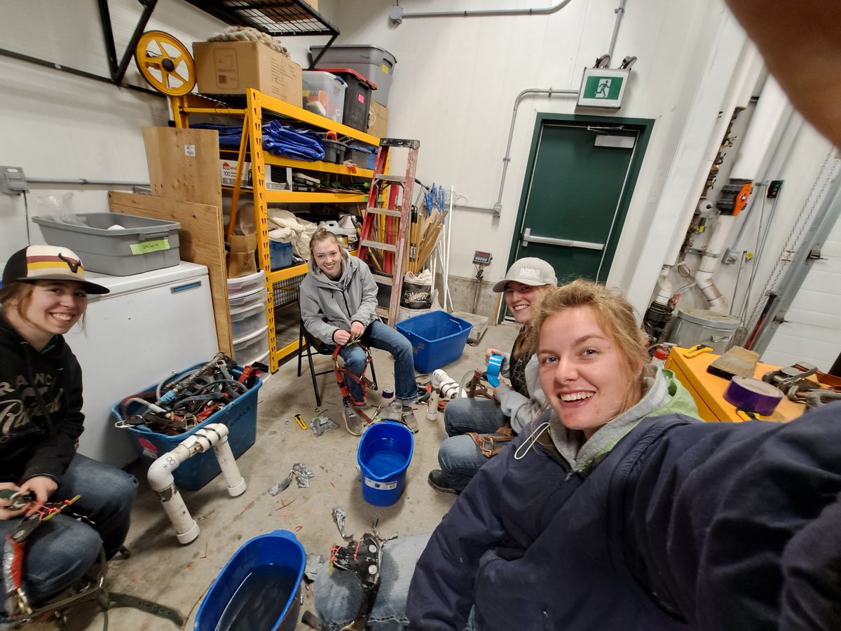 DrBart_Beef's tweet image. Awesome day at #LardnerLab 1. 1. Toured Yorkton salinity plots with Charlotte Ward 
2. Summer students repairing SF6 equipment 
#AppliedBeefForageResearch @agbiousask @RDARAlberta @SKAgriculture