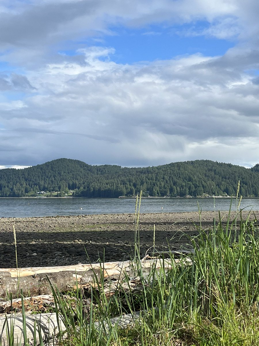 Unsettled weather today. A cell dropping over an inch of rain (25mm)in a short amount of time over areas near north van. Seen in the distance. #bcstorm
