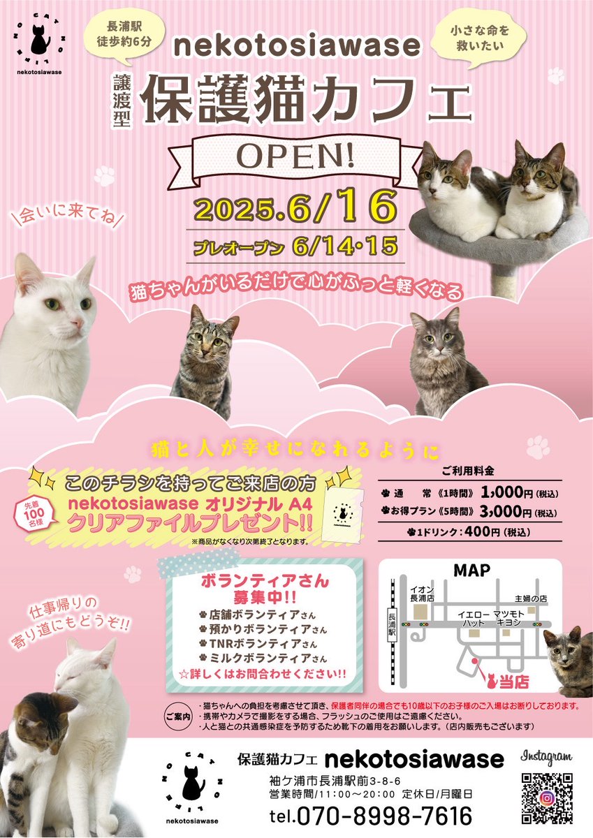 譲渡型保護猫カフェ「nekotosiawase」が6/16オープン予定🐈️ 現在