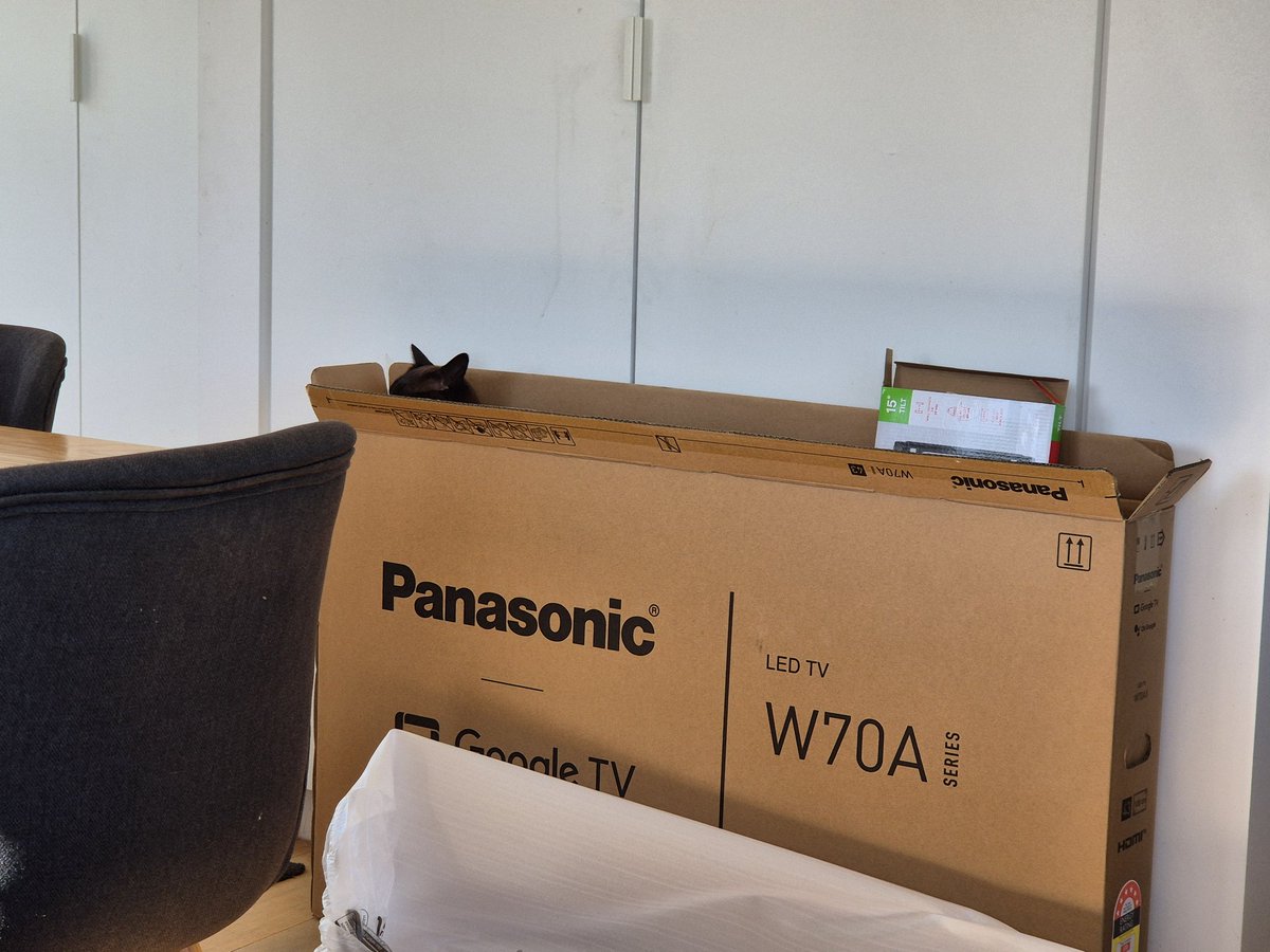 NZAllison's tweet photo. I have just moved all the furniture to accommodate the blasted television. That was a bookcase, a China cabinet, two lounge chairs, and the settee. I need a drink and a lie down now.
The cat enjoyed herself... of course she did! 😏
#TVInstallation https://t.co/fE5IOH0V7J