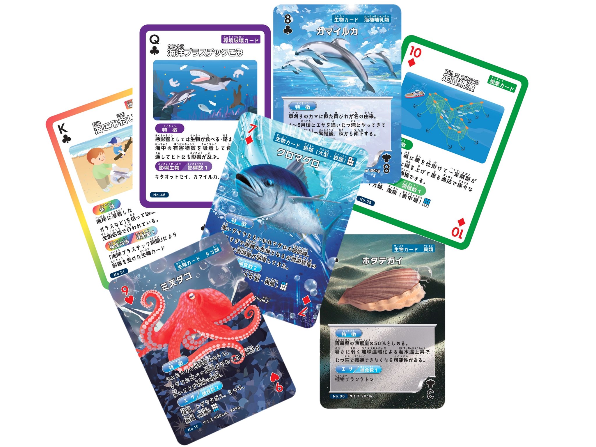 青森県営浅虫水族館【公式】 on X: 