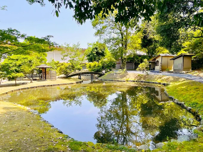 春には桜も #奈良国立博物館 #奈良京都国宝とかげ旅