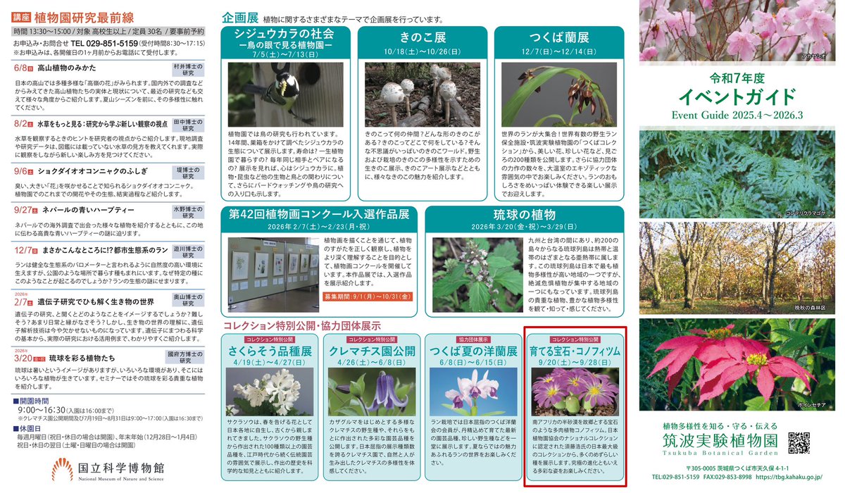 コノフィツム全書 コノフィツム全書 | 弥生坂 緑の本棚