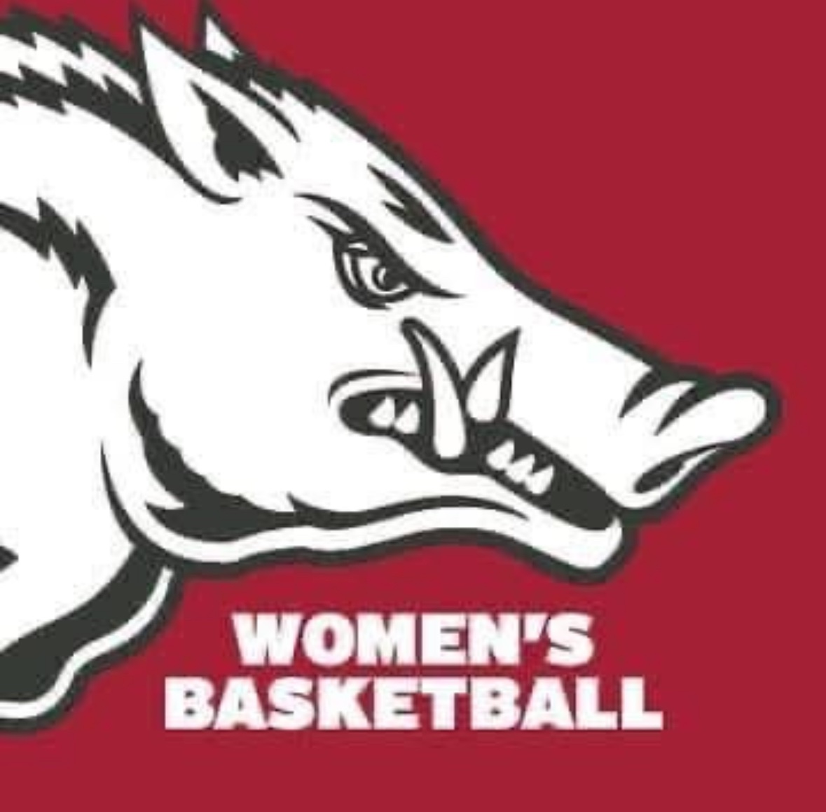 Ella Watts (@ellawatts33) on Twitter photo After a great conversation with <a href="/coachkmusick/">Kelsi Musick</a> & <a href="/CoachBradford21/">Nick Bradford</a> Iβm blessed to receive an offer from <a href="/RazorbackWBB/">Razorback Women's Basketball</a>!! ππ
#gohogs πππ
<a href="/SoutheastAStars/">Southeast All Stars</a> β€οΈπ€π€
<a href="/BrandonClayPSB/">B r a n d o n C l a y</a>
<a href="/bjpatriots/">Bob Jones Athletics</a> After a great conversation with <a href="/coachkmusick/">Kelsi Musick</a> & <a href="/CoachBradford21/">Nick Bradford</a> Iβm blessed to receive an offer from <a href="/RazorbackWBB/">Razorback Women's Basketball</a>!! ππ
#gohogs πππ
<a href="/SoutheastAStars/">Southeast All Stars</a> β€οΈπ€π€
<a href="/BrandonClayPSB/">B r a n d o n C l a y</a>
<a href="/bjpatriots/">Bob Jones Athletics</a>