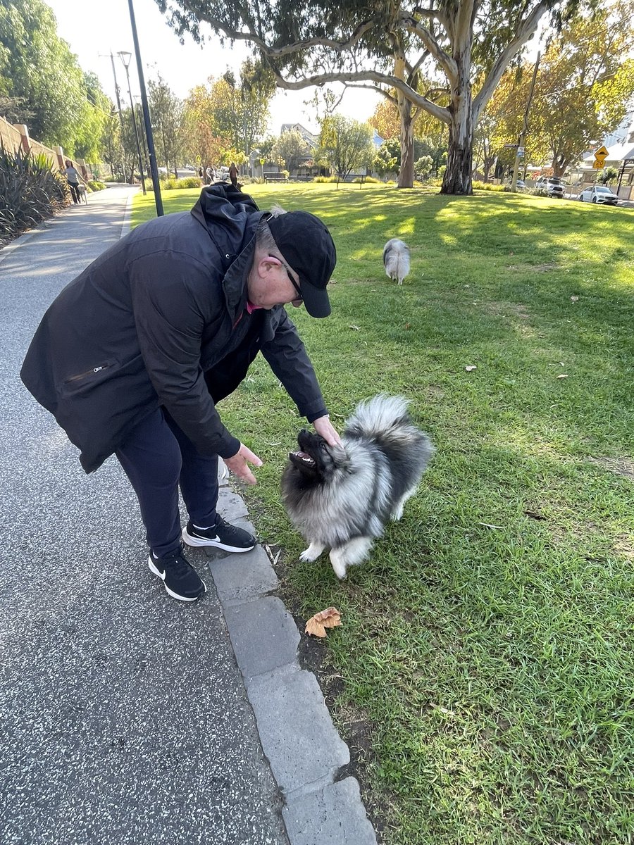 Peter Hitchener tweet media