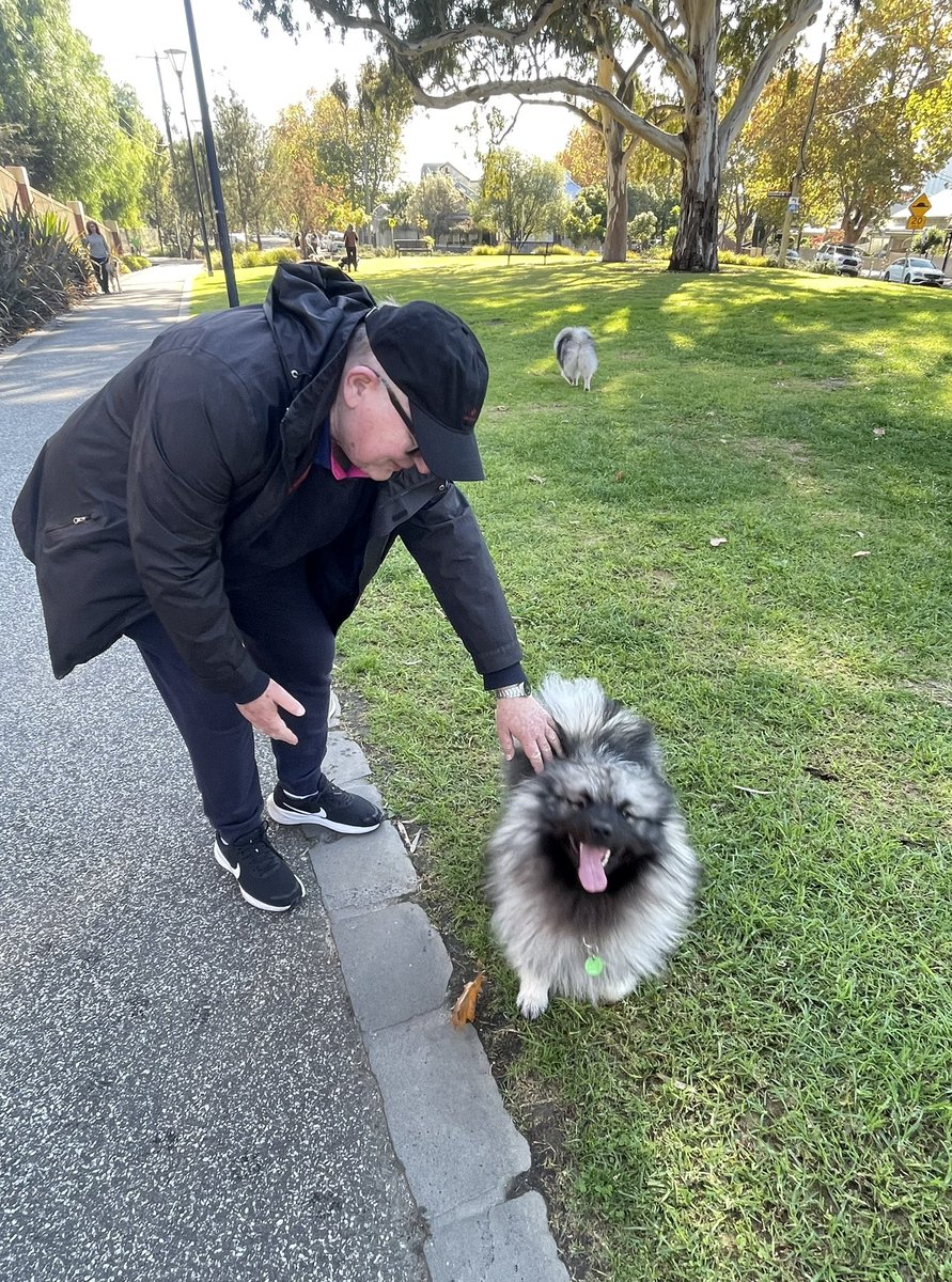 Peter Hitchener tweet media