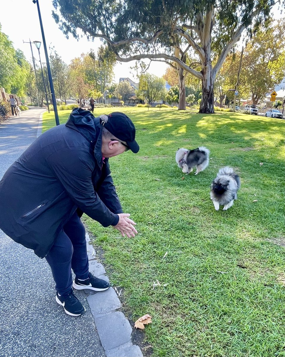 Peter Hitchener tweet media