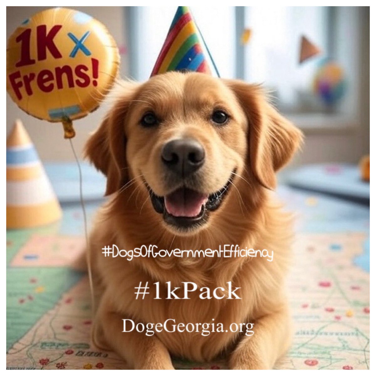 DOGE Georgia tweet media