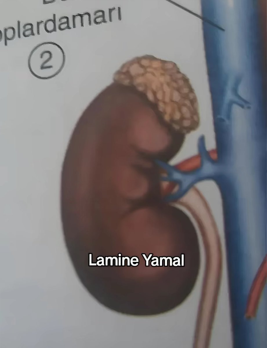 Rolita (@_onerolita) on Twitter photo 