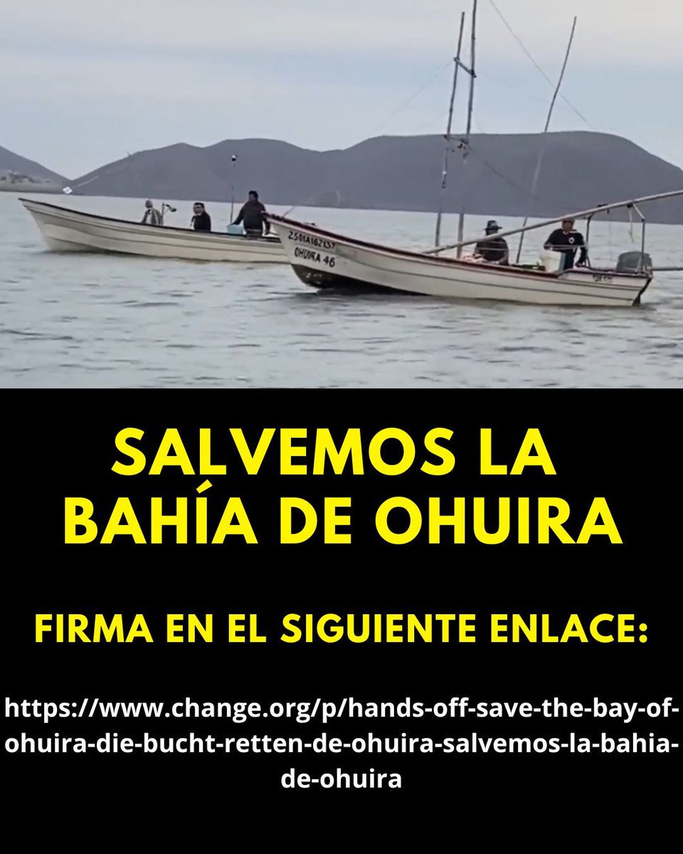 julioastillero's tweet photo. 🚨 ¡Atención Comunidad Astillera!

La planta de amoniaco en la bahía de Ohuira, Sinaloa, avanza sin permiso. Este proyecto amenaza la vida de las comunidades y el ecosistema.

¡Exijamos su cancelación firmando en https://t.co/pJotMLKfEI!

Dale clic aquí: https://t.co/FffMSjBZZt https://t.co/N44e4IMF7Z