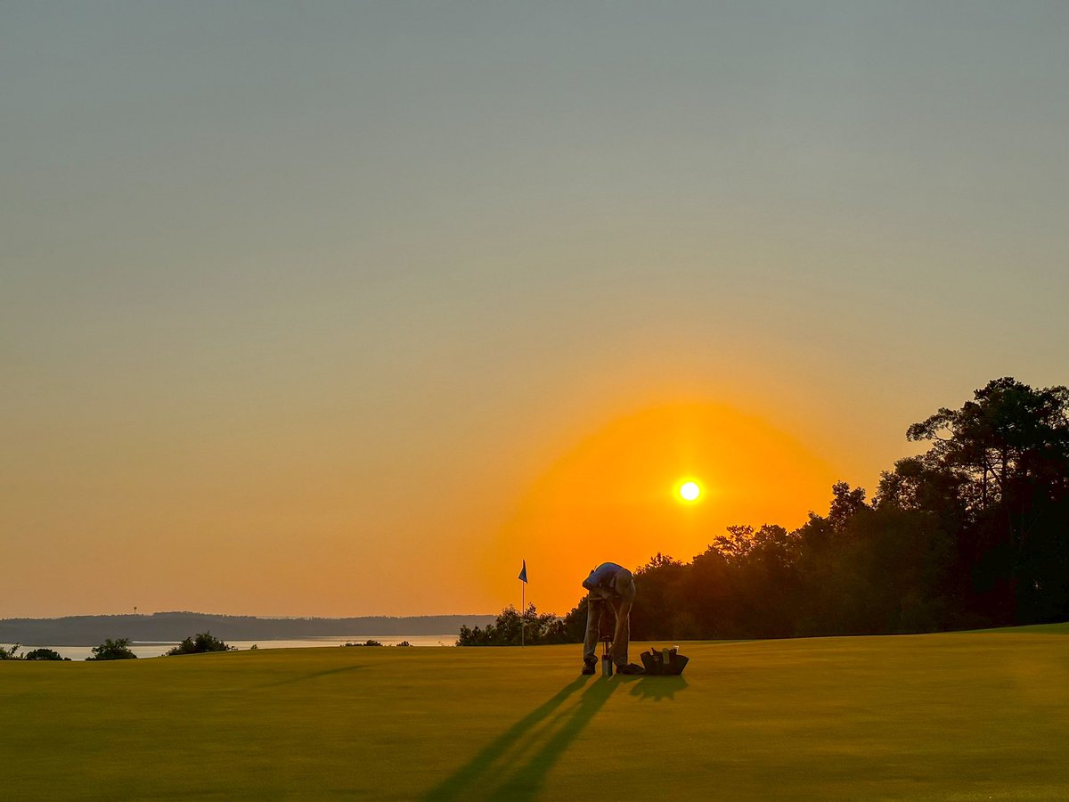 Koji Mitchell tweet media