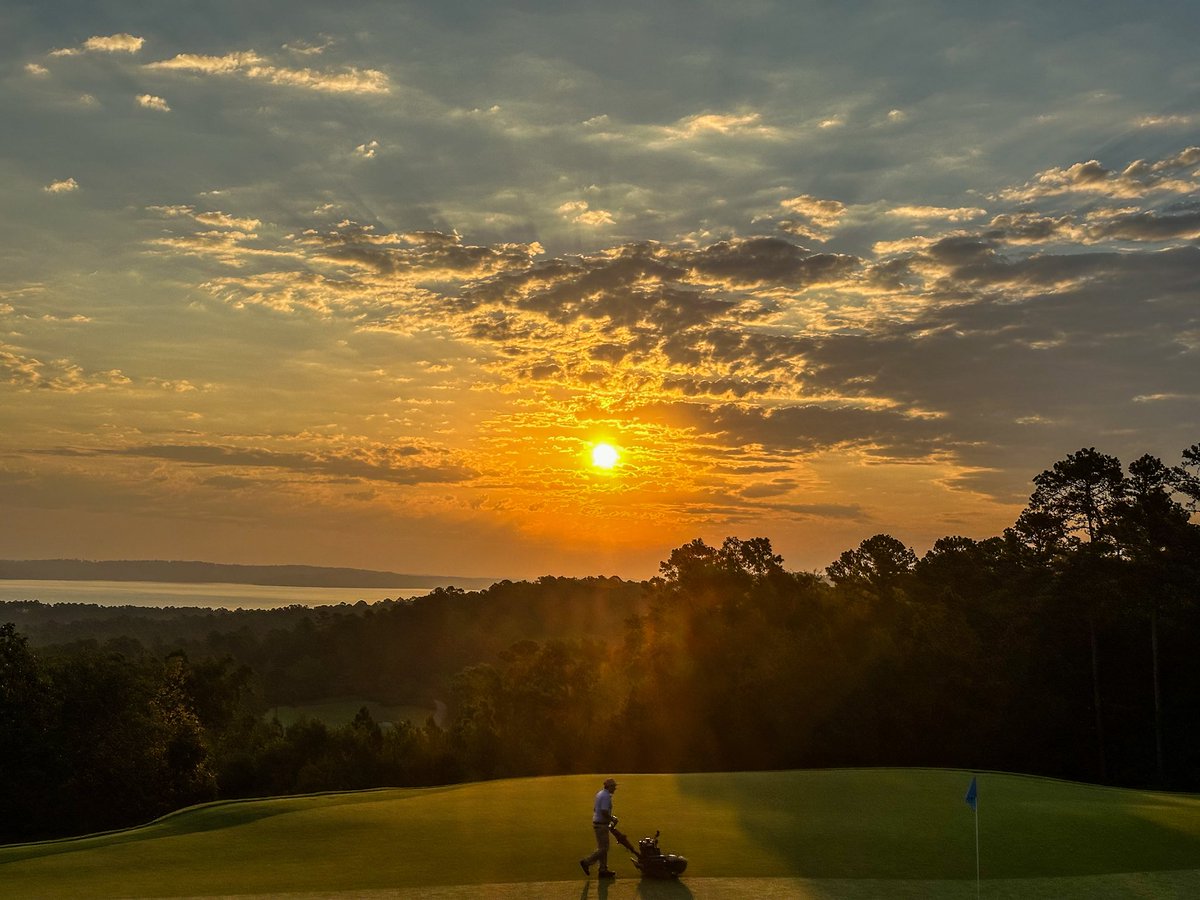 Koji Mitchell tweet media