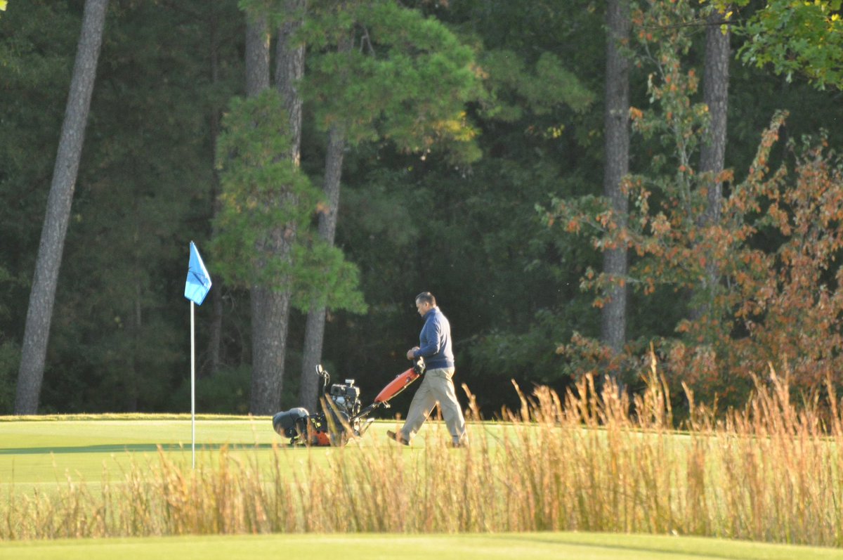 Koji Mitchell tweet media