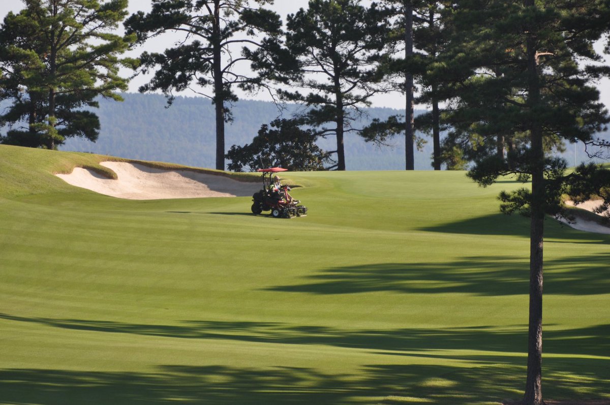 Koji Mitchell tweet media