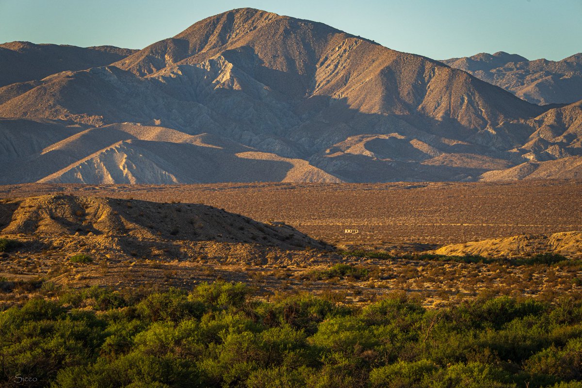 A look at Sunset Mountain and the groundwater dependent mesquite bosque in the Borrego Sink (Photos: Sicco Rood).