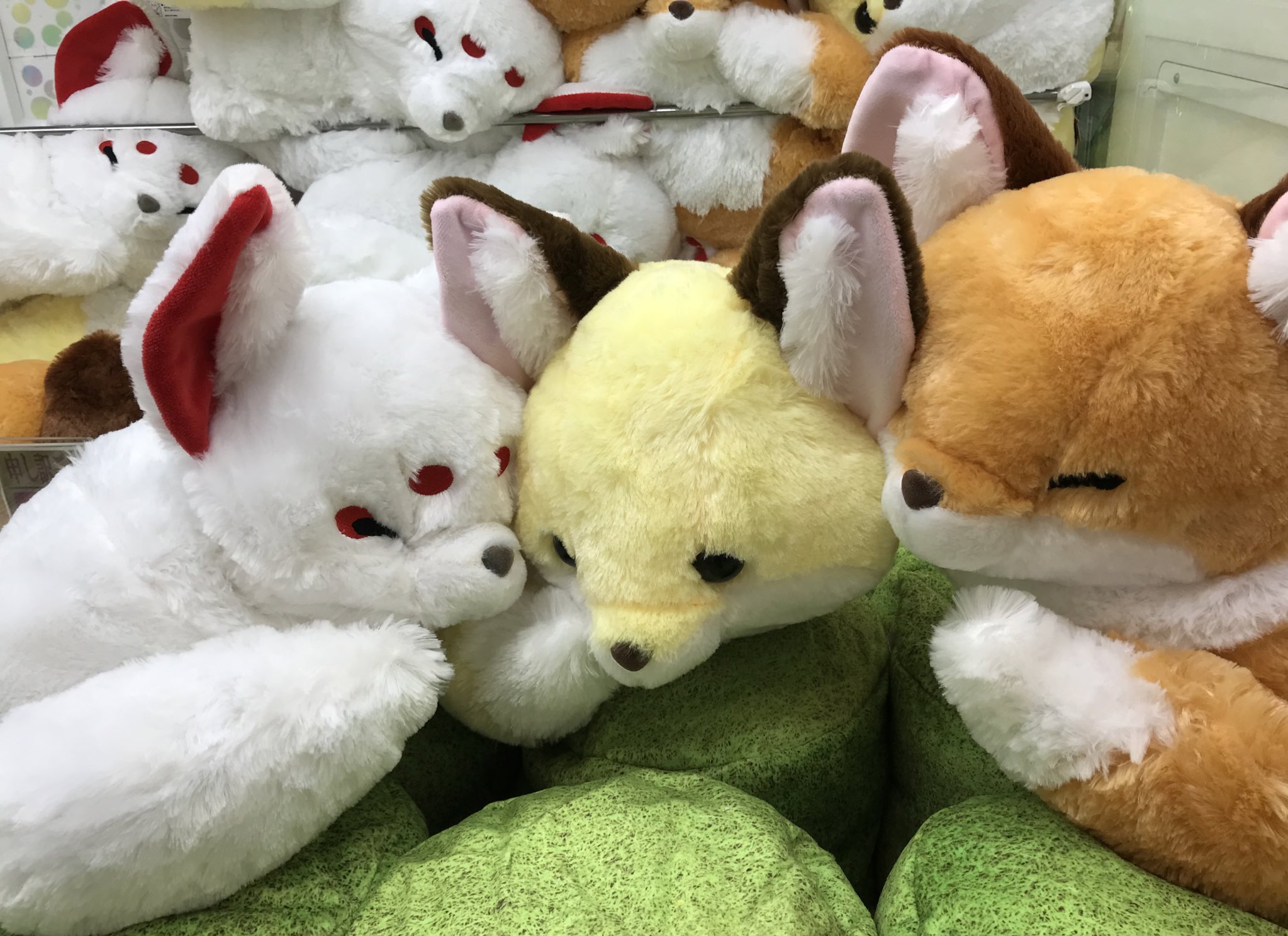 きつねさん専用 アミューズ：ちょコンとキツネJB
