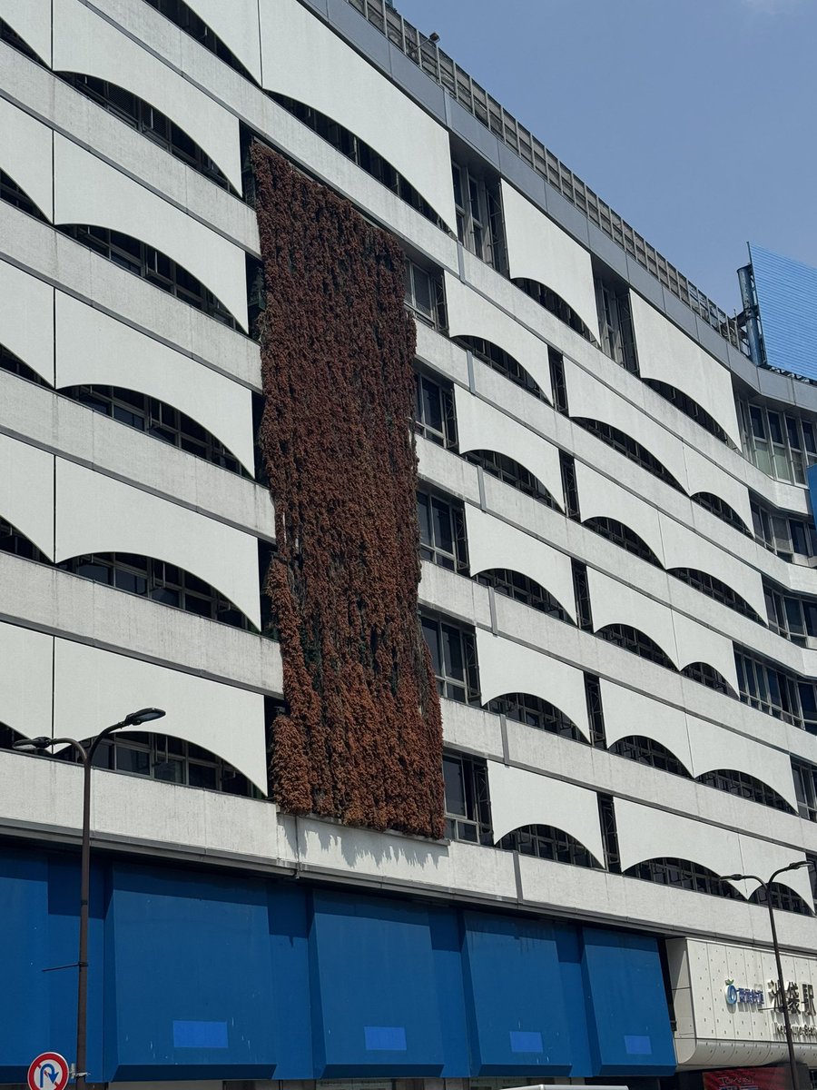 m_syn's tweet photo. 某駅東口の壁面。
#ラ系方面諸氏になんとなくお教えいただきたくなったので https://t.co/y1A52HVbjK