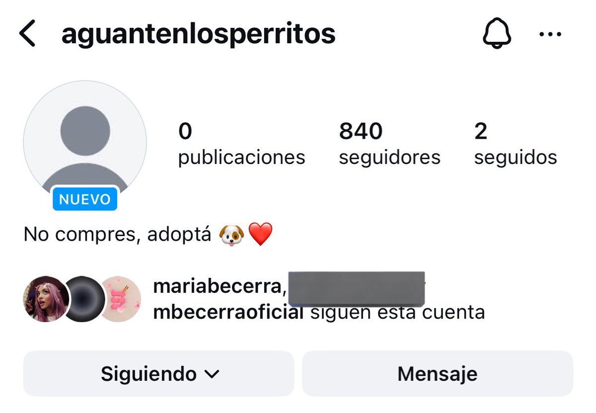 maria becerra haciéndose una cuenta que se llama “aguanten los perritos” para publicar perritos que se dan en adopción, yo me muero de amor con esta mujer 😭❤️