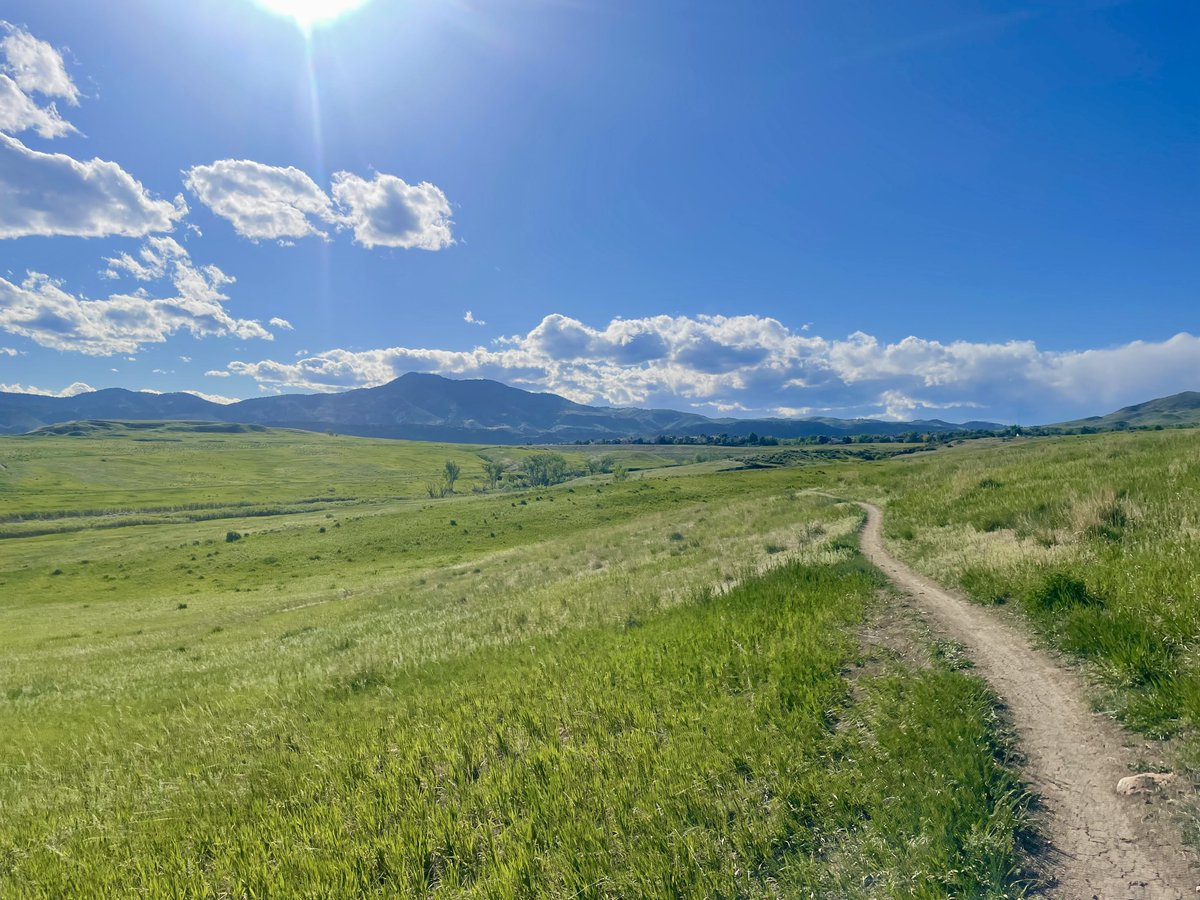Post work trail run! Just an absolute gorgeous day.