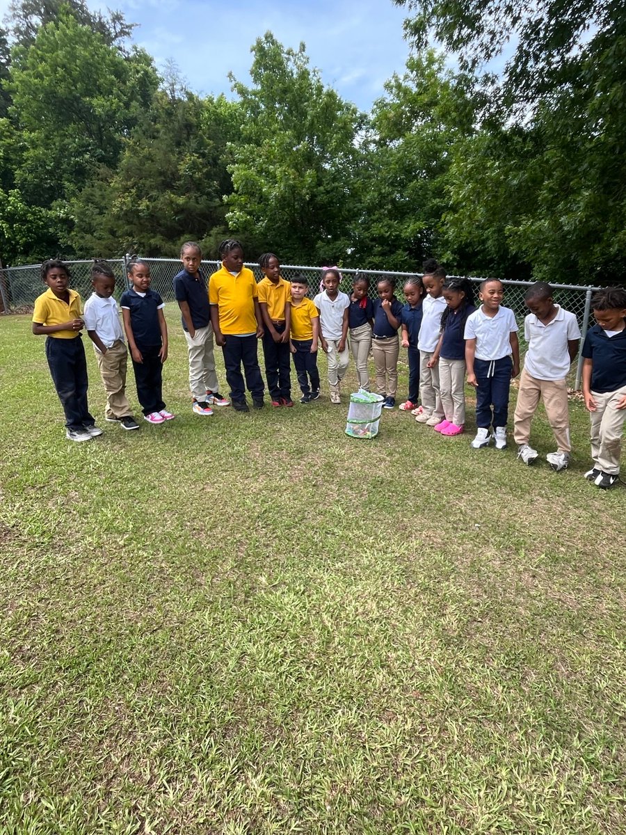 A friend bought the caterpillars for us. We were able to watch the transformation from caterpillar to butterfly and then the release of them. The students learned about each stage as we witnessed it. (END)