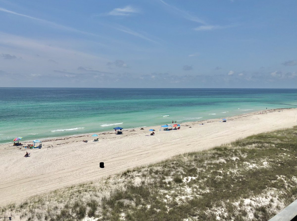 ✨ MarBear ✨ tweet media