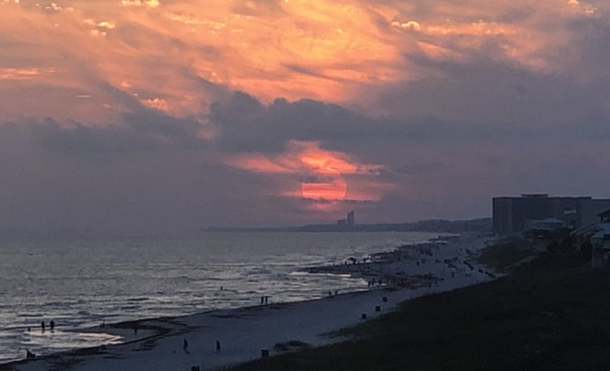 ✨ MarBear ✨ tweet media