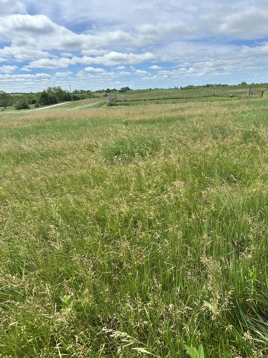Big thanks to <a href="/David/">David Noël 🇪🇺</a> Hallauer @Megin Jacques , <a href="/Margit/">Margit Detweiler</a> Maltenekker and @Katharine Sharp for inviting me to the drone demonstration on pasture land monitoring! 🚁🌾 I’ll keep you all posted as we dive into post-processing the imagery and share insights soon! #PrecisionAg #Drone4Ag