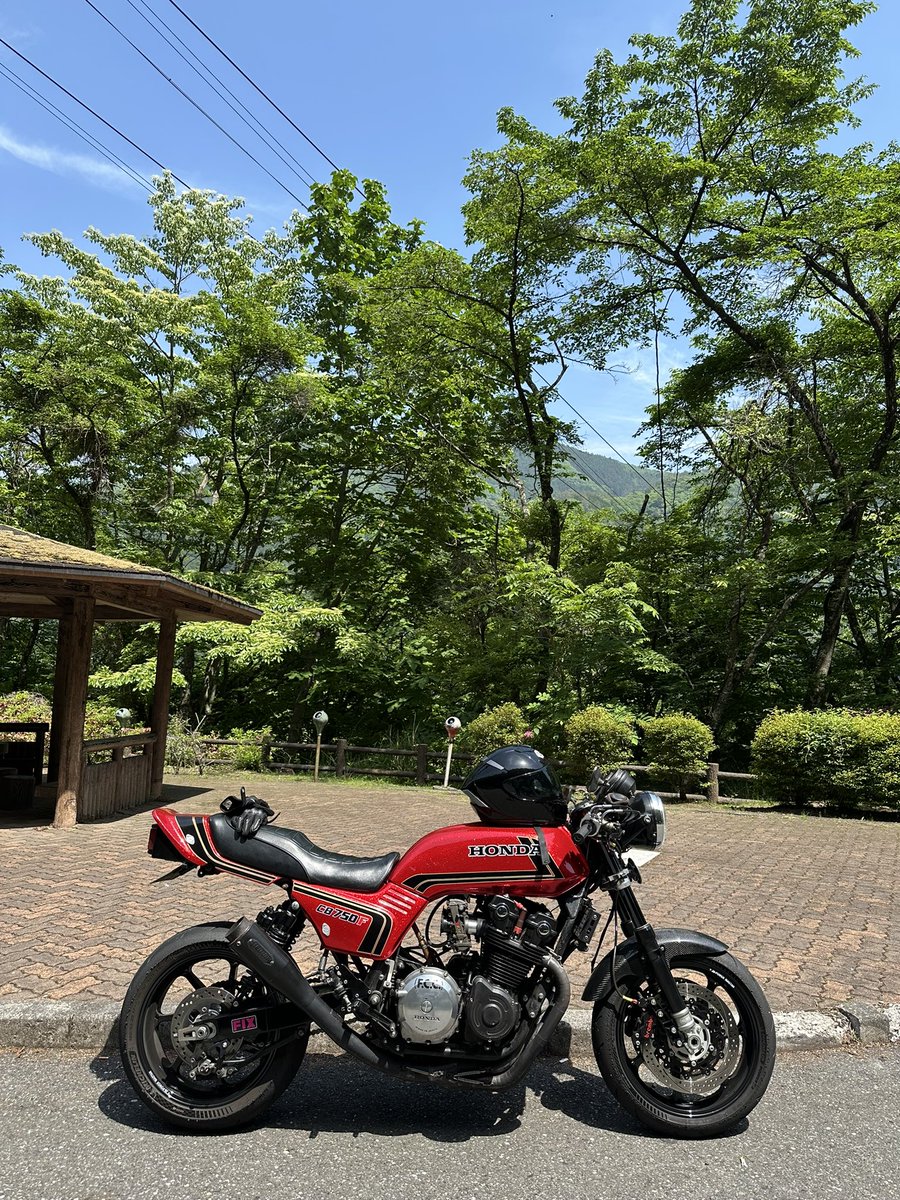 おはようございます🌞
今日は、お山へ