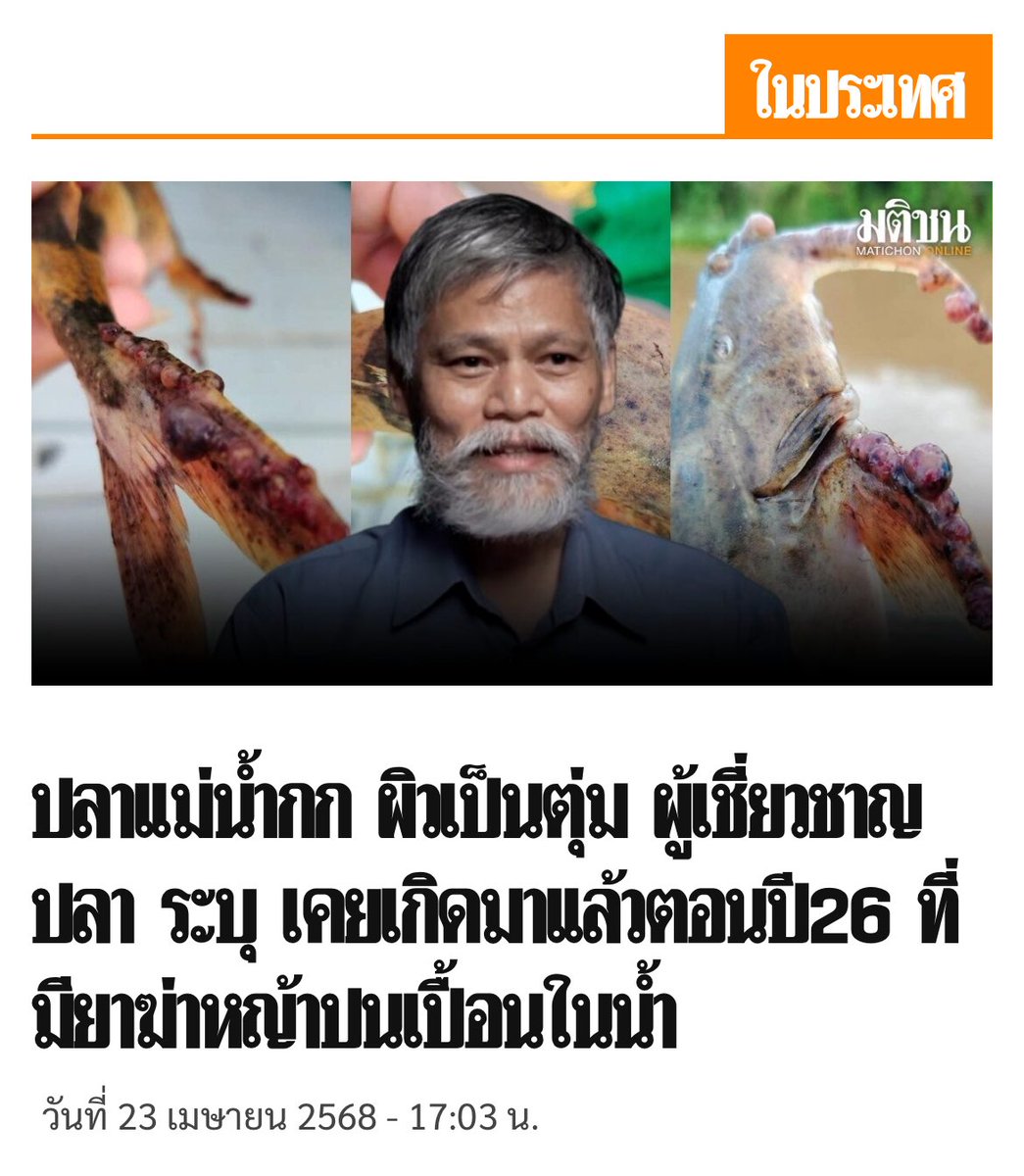 อ่านสัมภาษณ์รองผู้ว่า จ เชียงราย เรื่องการพบปลาป่วยติดเชื้อมีตุ่มที่ผิวหนังในแม่น้ำแล้วปวดหัวแทนคนเชียงราย

บอกว่า ยังไม่ได้มีการพิสูจน์ว่ามาจากโรงงานเหมืองแร่จีนหรือเปล่า แม้ว่ารูปการณ์จะน่าจะเป็นแบบนั้น แต่ยังสรุปไม่ได้ (อ่าวแล้วไม่ไปตรวจสอบเหรอ😂)