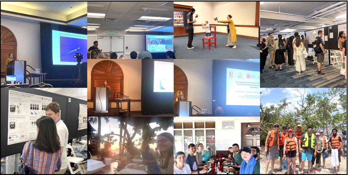 Kohitij Kar (@kohitijkar) on Twitter photo And that’s a wrap for our academic efforts in #vss2025. As always, <a href="/VSSMtg/">VSS Meeting</a> never disappoints!
And now … gearing up for Club Vision 🥳 And that’s a wrap for our academic efforts in #vss2025. As always, <a href="/VSSMtg/">VSS Meeting</a> never disappoints!
And now … gearing up for Club Vision 🥳