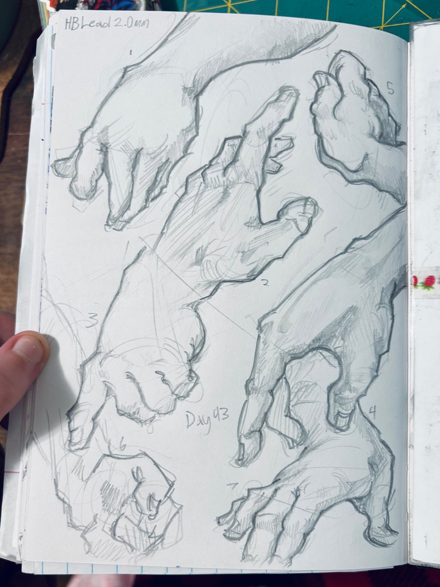 or_dusk's tweet photo. Study brainrot, I’m knowledgepilled #constructiveanatomy #BanAI https://t.co/bHFDEbZZS3