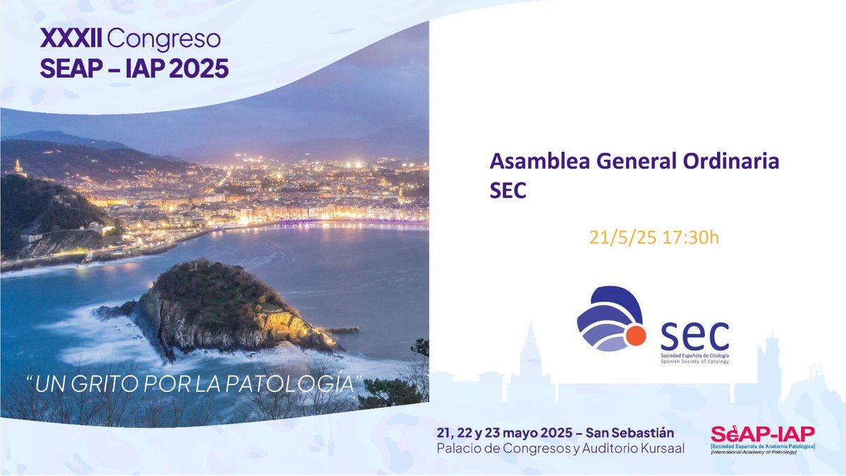 Mañana dia 21/5/25 da comienzo la actividad científica en el XXXII Congreso <a href="/SEAP_IAP/">SEAP-IAP</a> en San Sebastián.
A los socios de la SEC os esperamos miércoles 17:30 en la Sala Cámara para la Asamblea  y ponernos al día en <a href="/KursaalDonostia/">Kursaal</a> 🤩
#SEAP2025SS