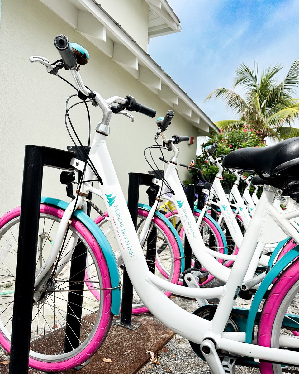 Laid-back rides for laid-back days 🚲