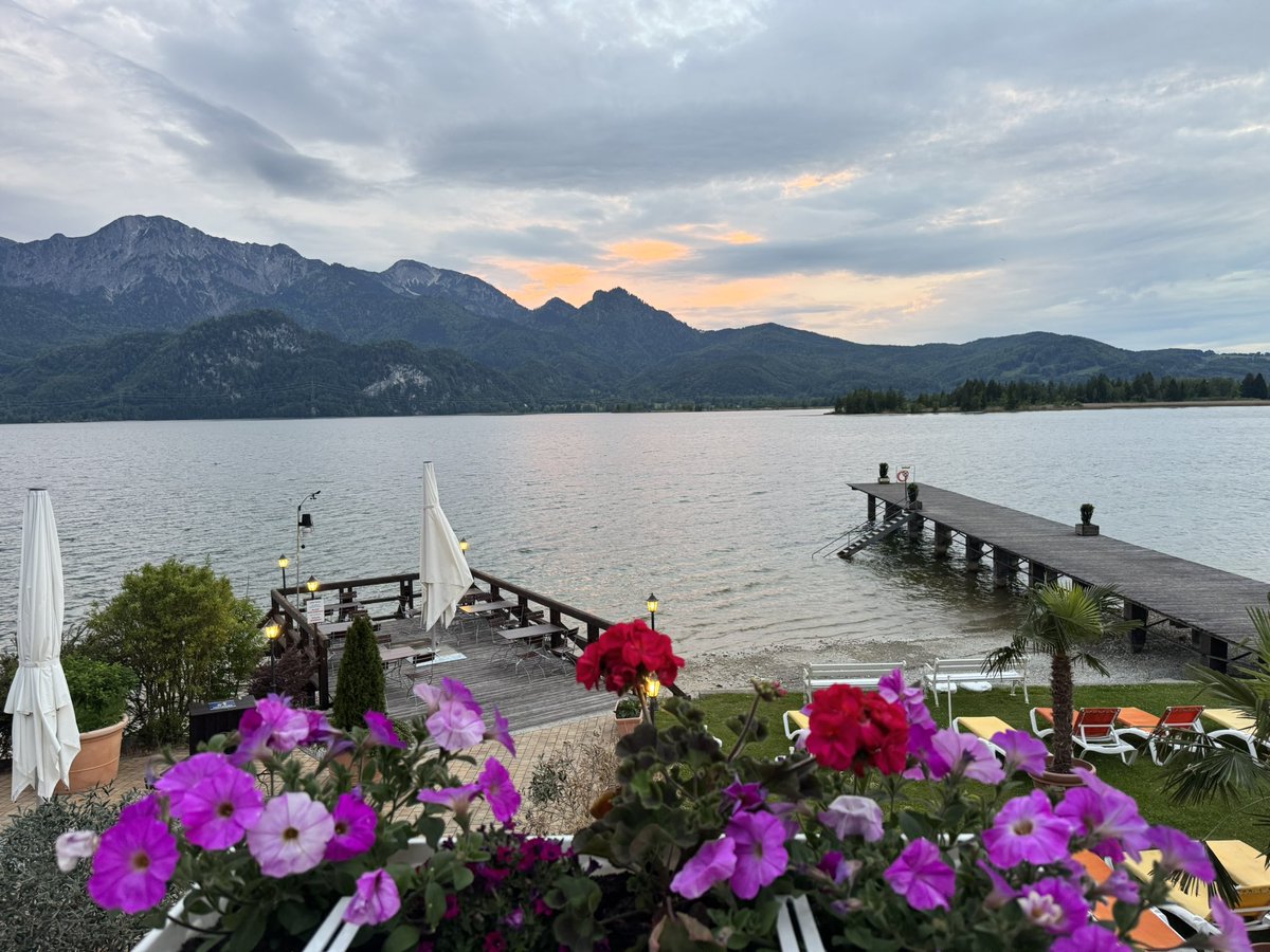 Phoenix_Muc's tweet image. Kleine Auszeit am See 🤗🏊‍♂️🛟🤿