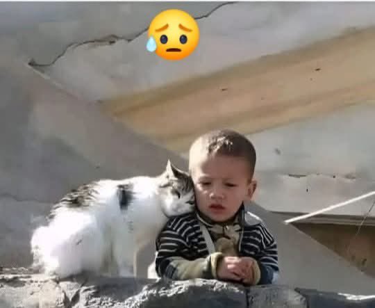 تم میرےکندھے پہ سررکھ لو،اب تو ہم دونوں کا کوئی نہیں رہا🥺