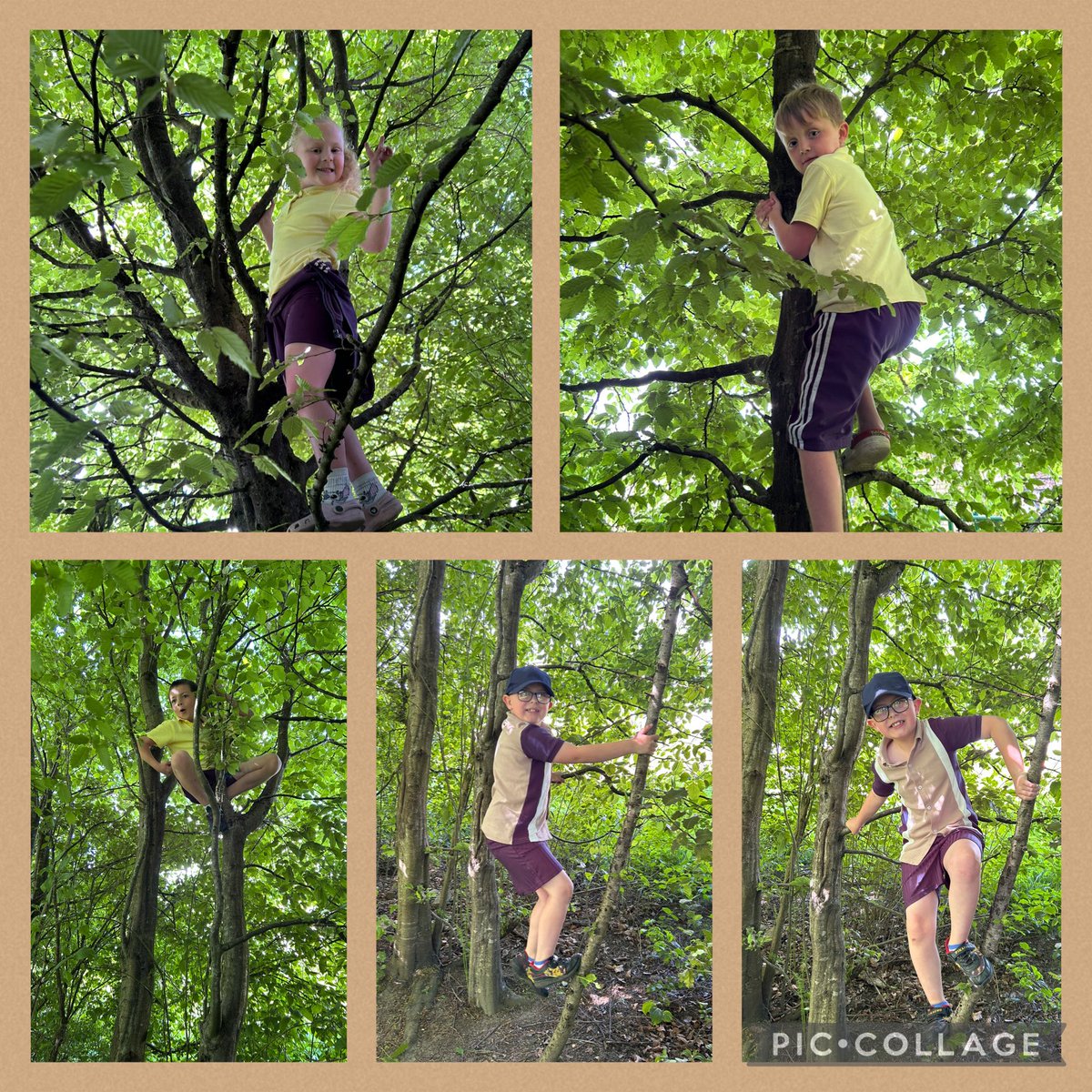 FPS_MrsBaker tweet media