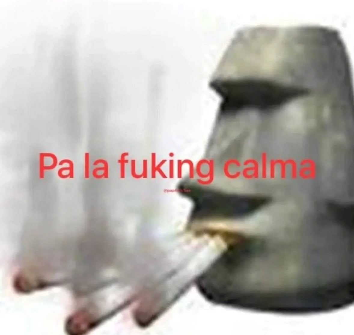 memes feos yo qué sé (@memefeos) on Twitter photo 