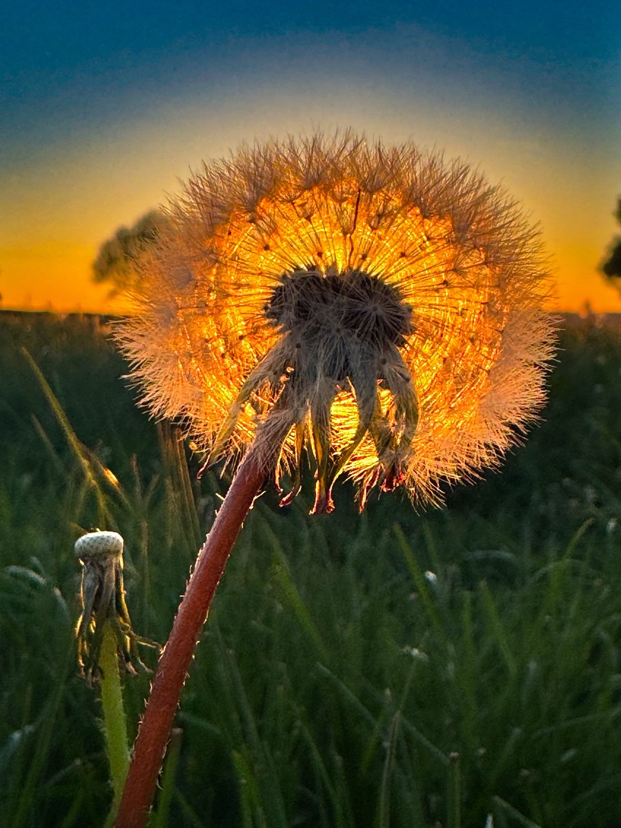 Just a photo that made me happy last night :) enjoy