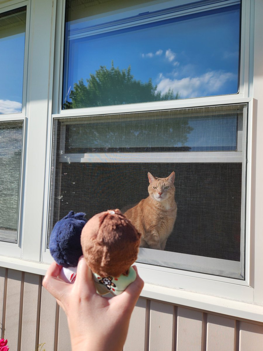 lesbian flintball 🐱🐴 (@offdensenwife) on Twitter photo <a href="/TwilightPalms/">Angie! @ MARCH DROP IN PRODUCTION + SHOP OPEN!!</a> I am showing them things they don't see locked in that basement <a href="/TwilightPalms/">Angie! @ MARCH DROP IN PRODUCTION + SHOP OPEN!!</a> I am showing them things they don't see locked in that basement