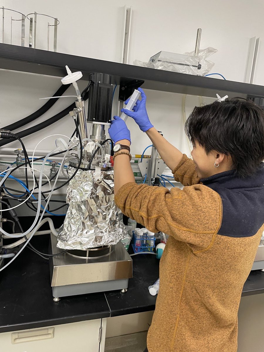 Merchant_Lab's tweet image. Huge congratulations to our lab intern Kenzo Khoo on completing his Master’s in Bioprocess Engineering at UC Berkeley and starting a new role at Genentech! Thank you for your valuable contributions to algae culture scale-up and metabolic analysis at LBNL. We're proud of you!