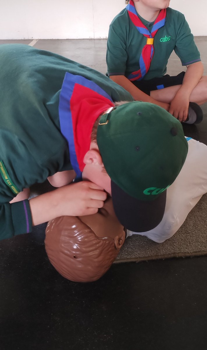 17th Barrow Scouts tweet media