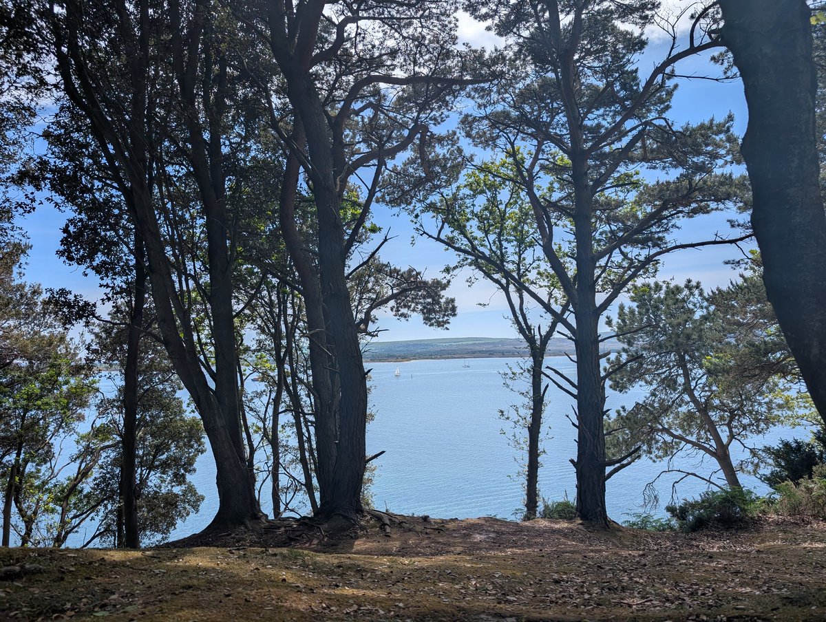 lisadoescode's tweet image. Not bad being a PE Teacher when you get to work in places like these 🌞
