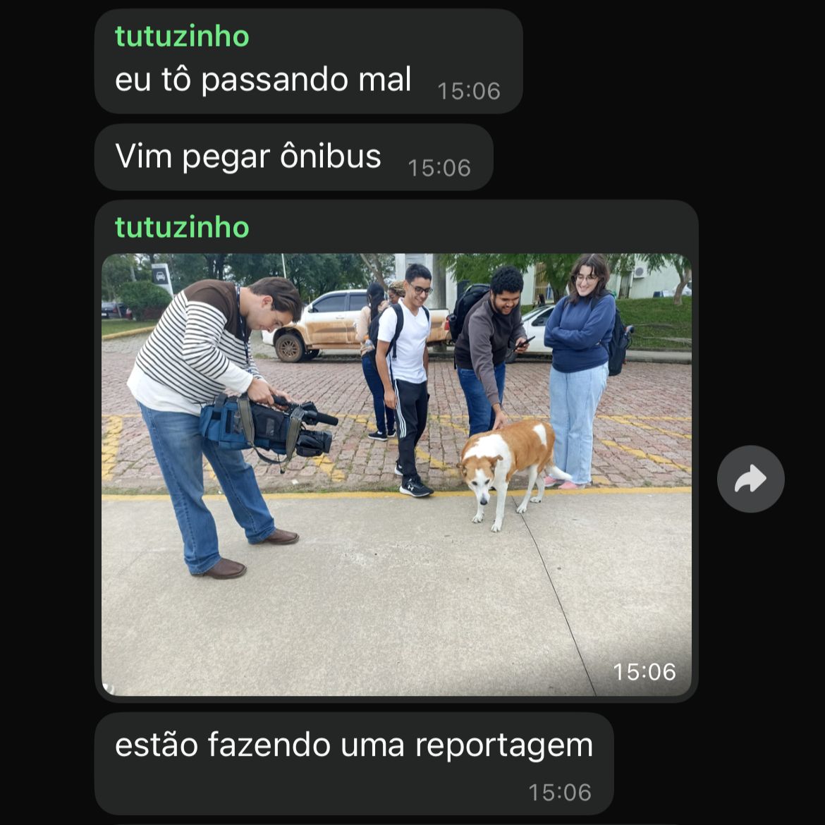 lili 🥝 tweet media