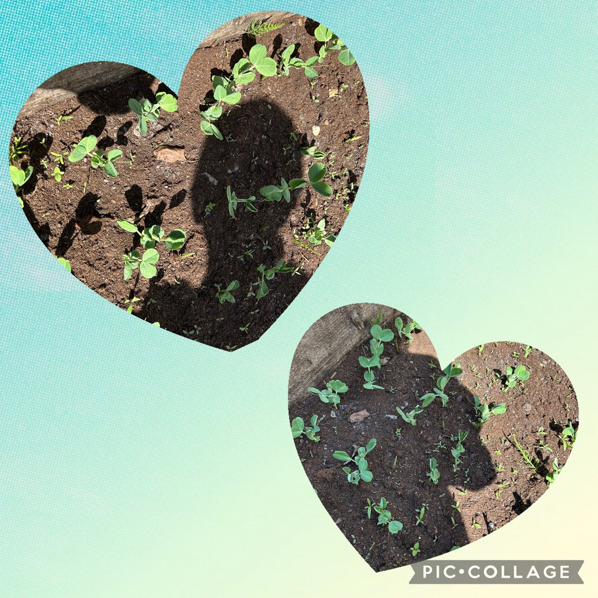 FPS_MrsBaker tweet media