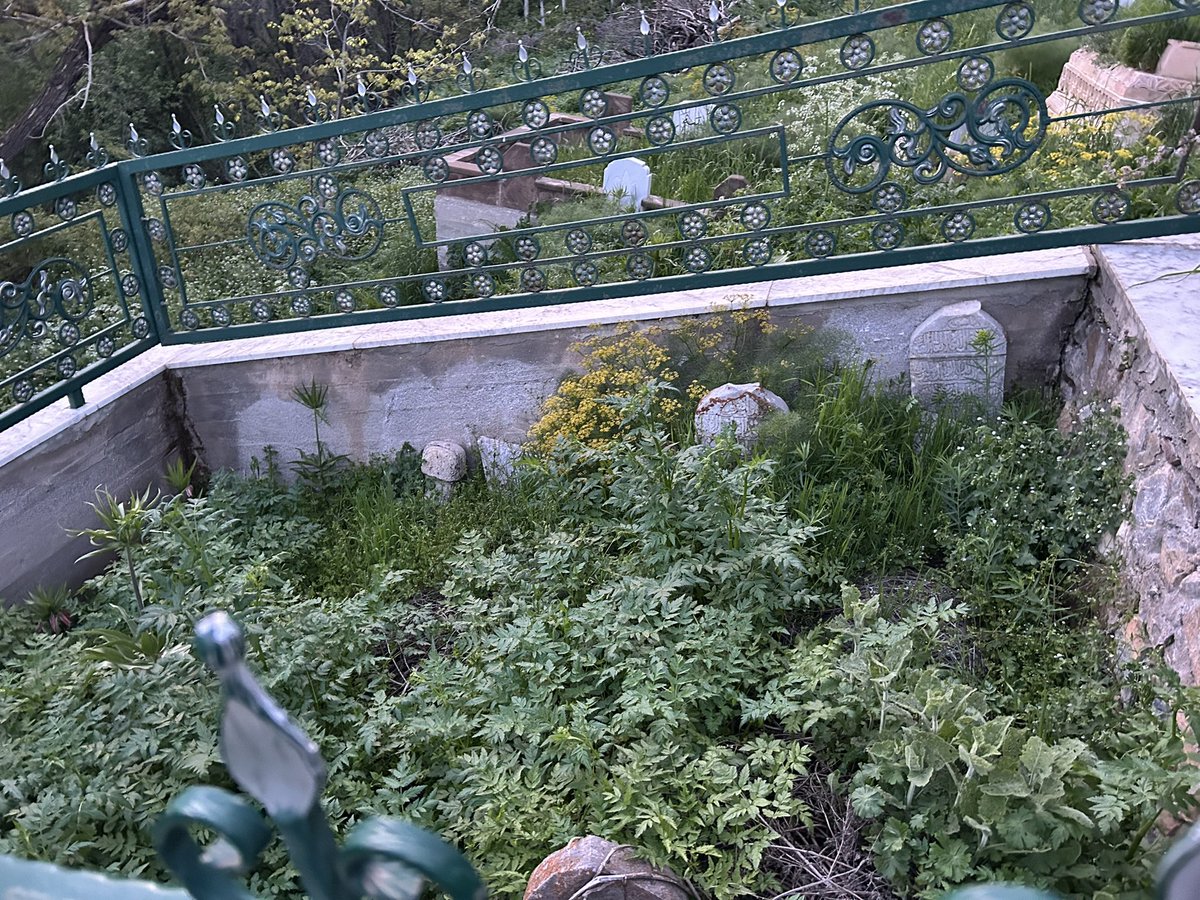 Seyyidlik çalışma ile geçmez ki, Şeyhlik de Miras ile babadan oğula geçsin.

☘️☘️☘️
Hasretin ateşi, bağrımı Çağlar Ey GÜZEL…