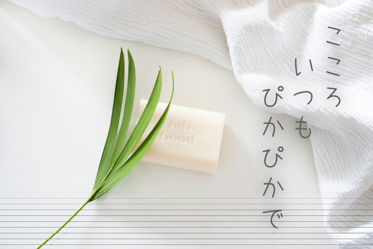 おはようございます🏙️

会社🏢でお世話になってる
掃除のおばちゃん🧑🏻‍🦳
大の阪神ファンです🐯❣️

阪神が勝つと翌日は
試合経過の復唱つきで♫
オフィスはキレっピカです✨

いつも🧹有難うございます🙇🏻

追記
最近は特にオフィスが綺麗です💖
🐰ファンとしては複雑で😮‍💨