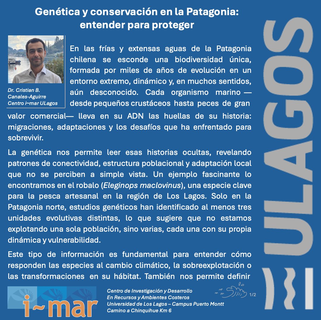 Centro i-mar tweet media