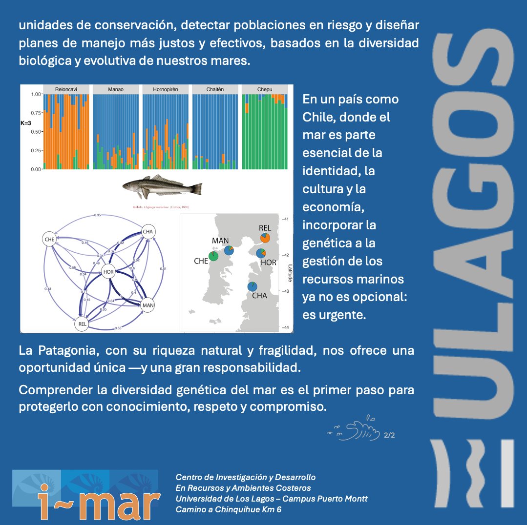 Centro i-mar tweet media