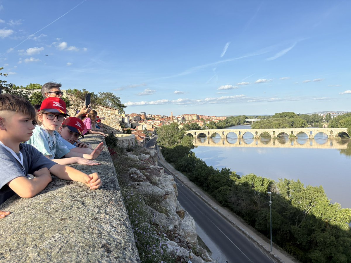 Kings Lander Primary Academy tweet media